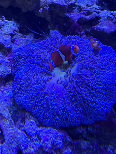 IMG_6515.jpeg