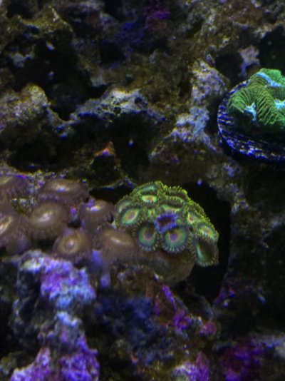 IMG_1045.jpeg