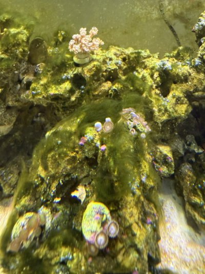 IMG_0169.jpeg