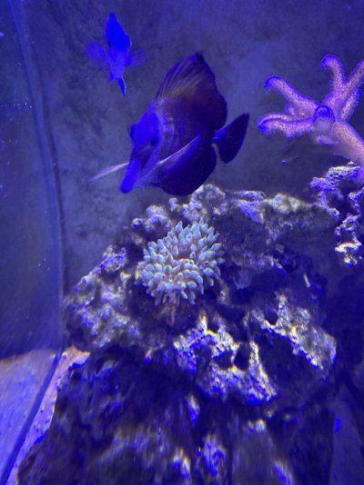 IMG_0156.jpeg