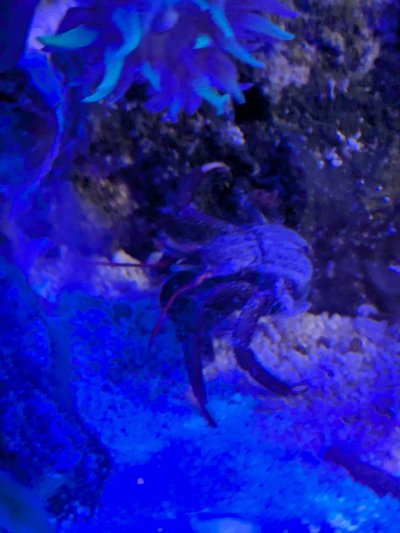 PXL_20251215_034909988_exported_1765828913857.jpg