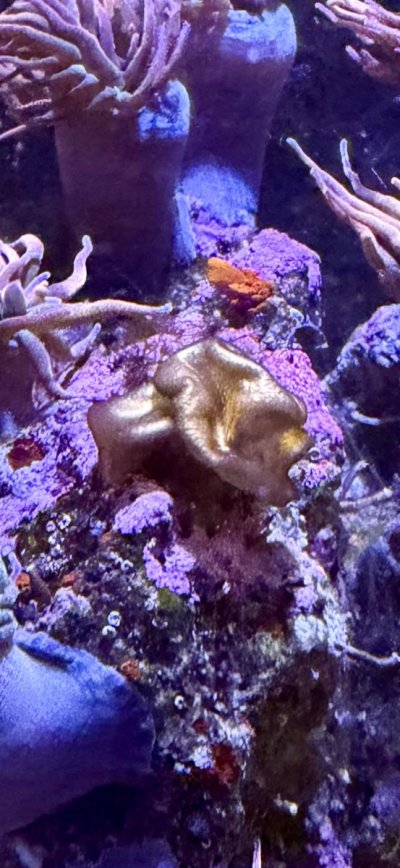 IMG_9722.jpeg