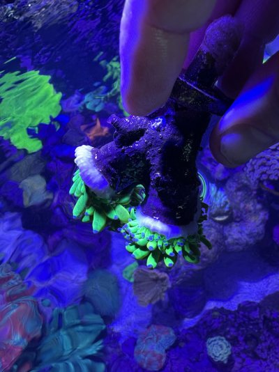 IMG_0880.jpeg