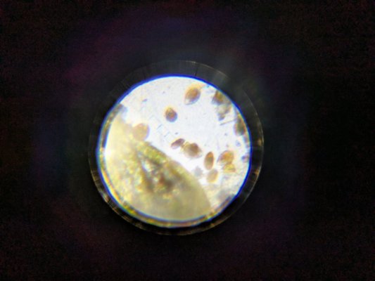 PXL_20251218_040002553.jpg