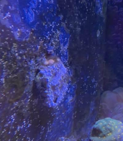 20251221_211657_D0953C71-0A84-4B64-A985-6FB7B0A38C6B.png