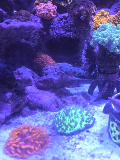 20251225_094726.jpg 20251225_094726.jpg