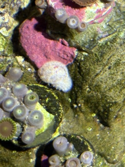 IMG_3954.jpeg