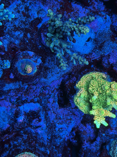 20260103_142214_158367F1-64CE-419A-BE3A-1D91CD88CCA9.png