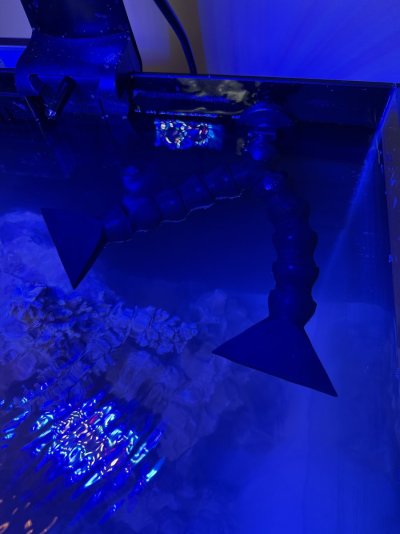IMG_3440.jpeg