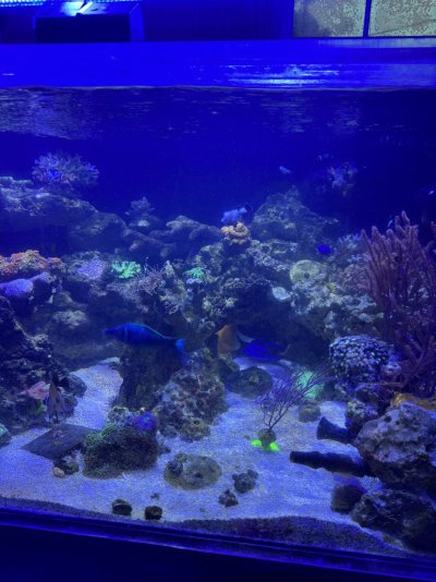 IMG_9616.jpeg IMG_9616.jpeg