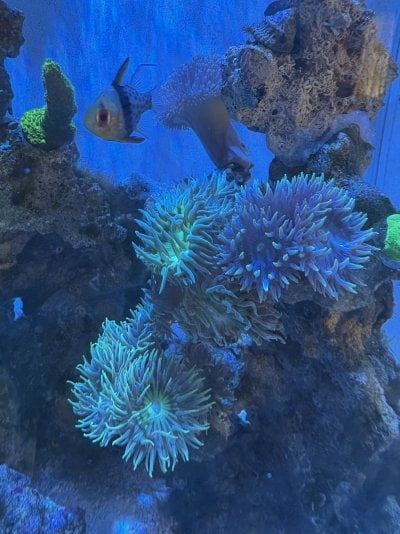 IMG_5024.jpeg