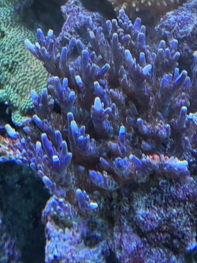 IMG_6057.jpeg