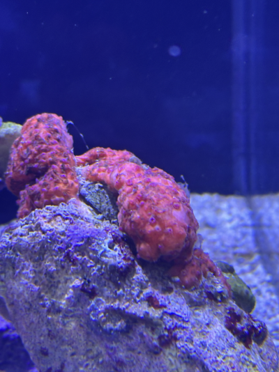 20260120_170107_B3741FF2-8367-47B7-A146-D736445A7D50.png
