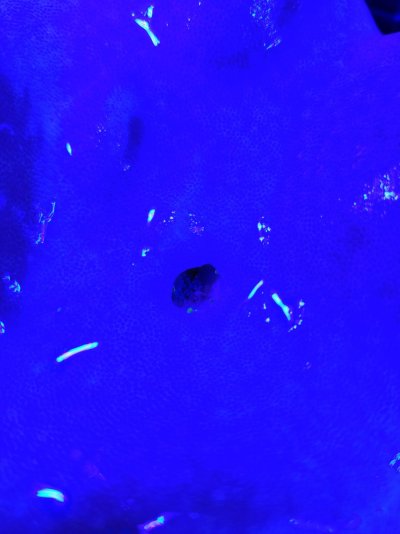 20260120_175920.jpg