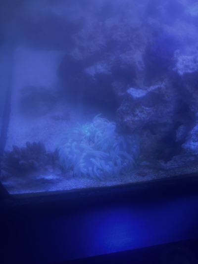 20260122_115800_8C71284B-21AF-4C07-B430-CA51097B909E.png 20260122_115800_8C71284B-21AF-4C07-B430-CA51097B909E.png
