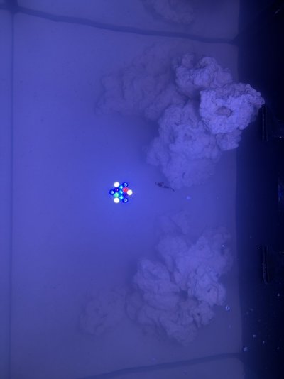 IMG_8F4A9597-33DA-49ED-8047-1A3635C776F4.jpeg