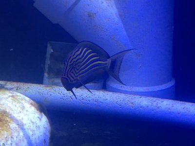IMG_6382.JPG