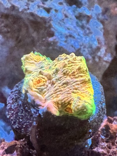 IMG_5410.jpeg
