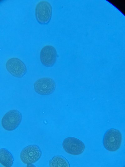 20260207_172457.jpg