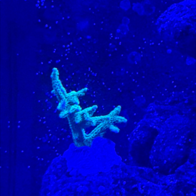 20260212_014529_D428CF60-77F1-4157-95C4-2FE1F427E8C6.png