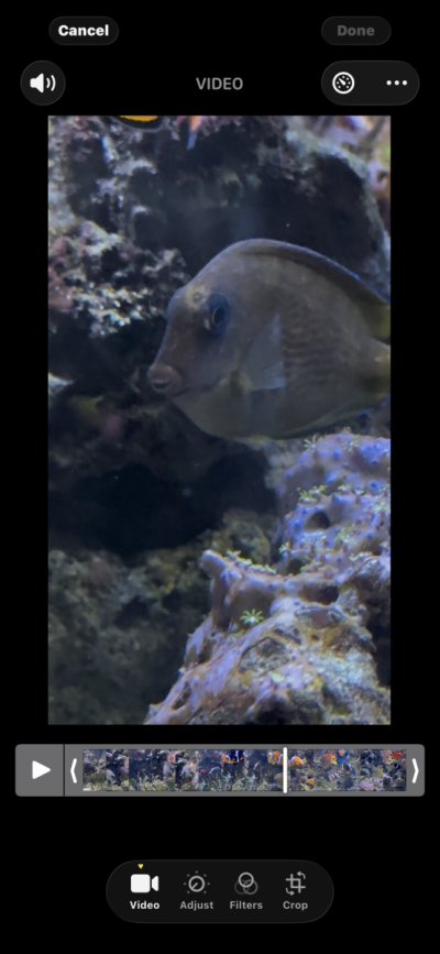 IMG_2191.png