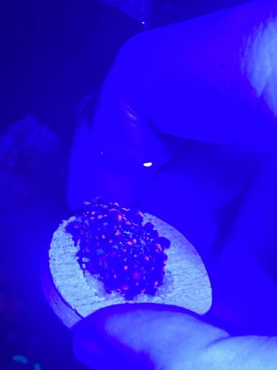 IMG_4661.jpeg