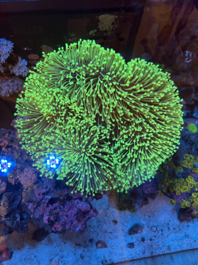 20260216_164541_722DD088-E7DF-4836-9D72-377CDCA27276.png