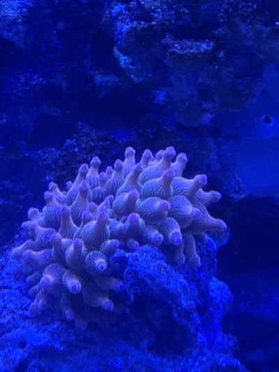 20260216_215958_569E15A1-373C-42E3-816D-DF6AF4608F6B.png