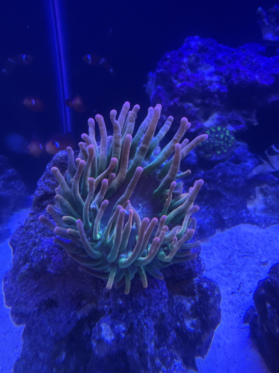 20260216_215958_0F3BF330-DB27-4FC1-A9EE-E046B20F68EB.png