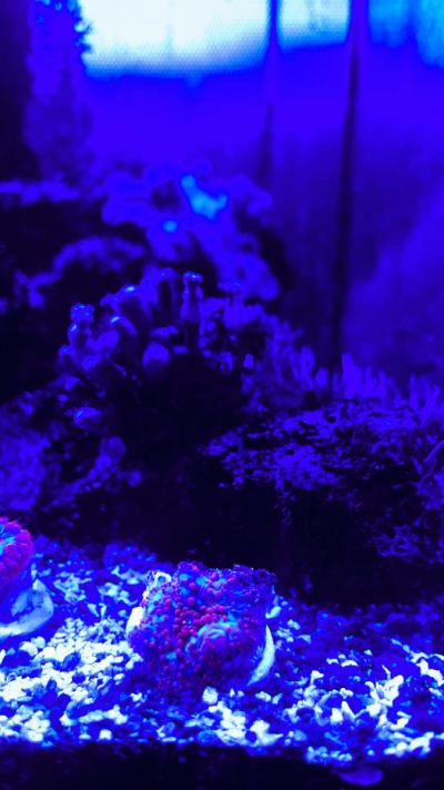 20260217_073705_6710F980-ABD9-4B44-880B-97F82C6D51F7.png