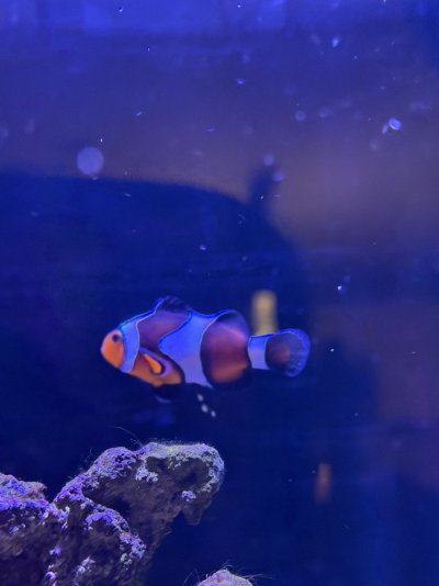 IMG_3654.jpeg
