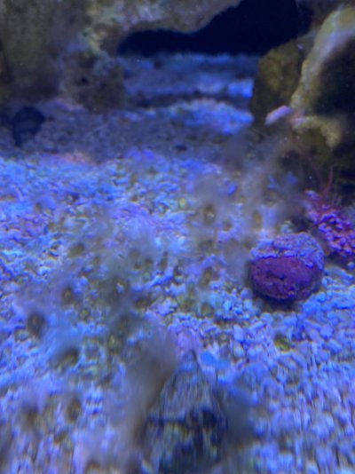 IMG_6602.jpeg