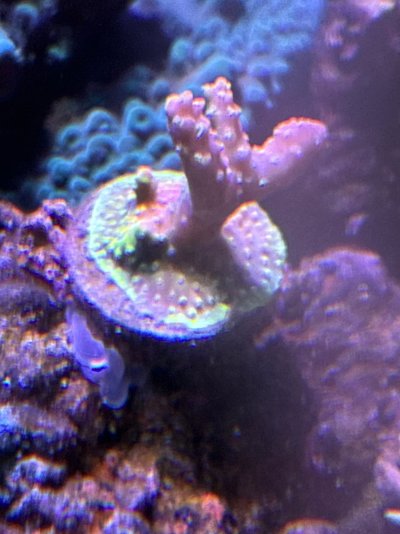 IMG_0041.jpeg