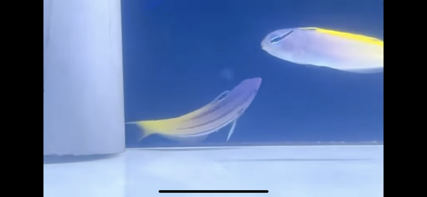 D25548E4-B950-477E-9AA1-6EA071C1C9BA.png D25548E4-B950-477E-9AA1-6EA071C1C9BA.png