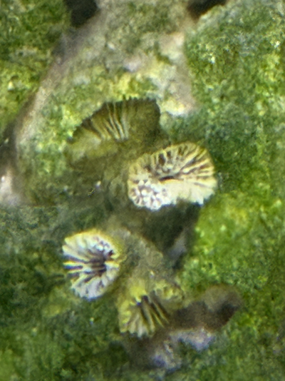 20260301_095453_B78274AC-D667-4F80-9686-4DD5B9FEB11B.png