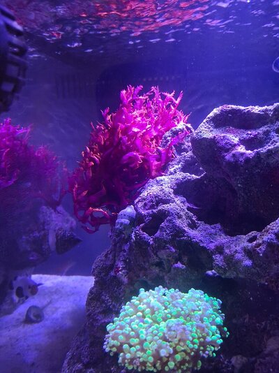 20260303_163242.jpg