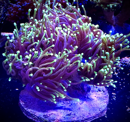 20260307_072008_DEEA61F0-2C7A-46C5-9402-794407362B4B.png