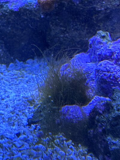 IMG_9934.jpeg