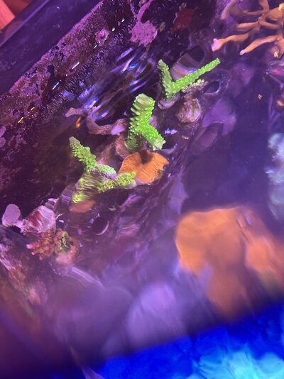IMG_5718.jpeg