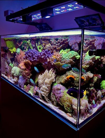 IMG_9694.jpeg