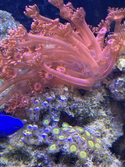 IMG_0149.jpeg