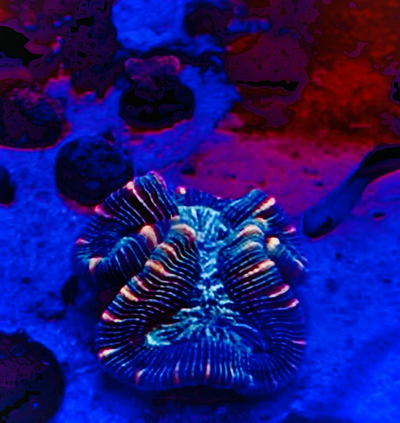 20260319_100820_88691B3E-F60F-4545-91C5-D46B704F5C29.png