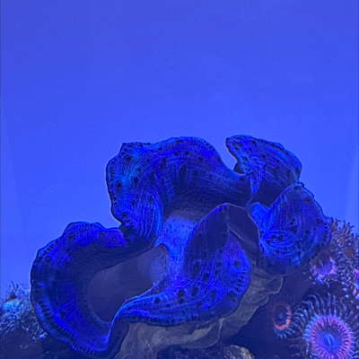 20260320_153354_35E8C446-8DB1-419D-95DC-3DD1B3BB657B.png