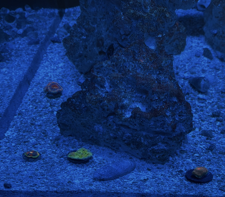 20260321_104149_BA3D0FE8-695D-4545-AF77-DE54351C2958.png