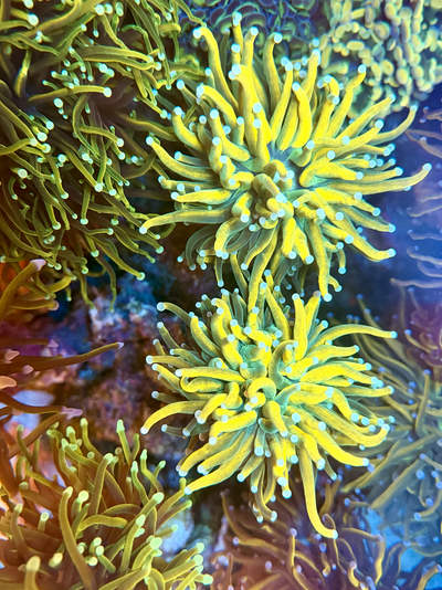 20260322_011400_3668A9A0-3198-449E-AA77-736FD69E7E30.png