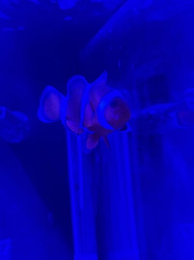 IMG_7710.jpeg