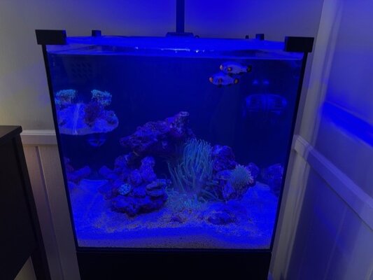 Tank Photo.jpg Tank Photo.jpg