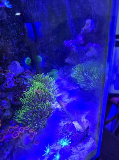 20260323_184205.jpg