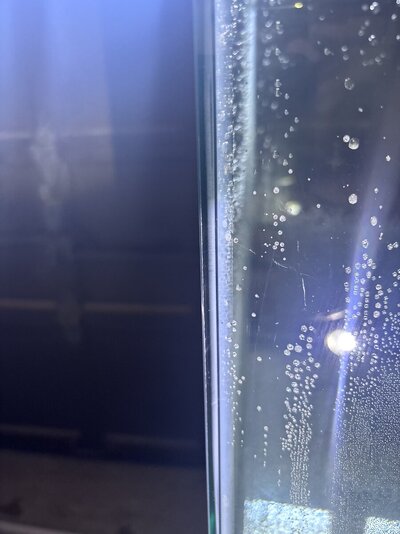 IMG_3181.jpeg