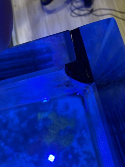 IMG_1080.jpeg